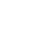Jewish Camps